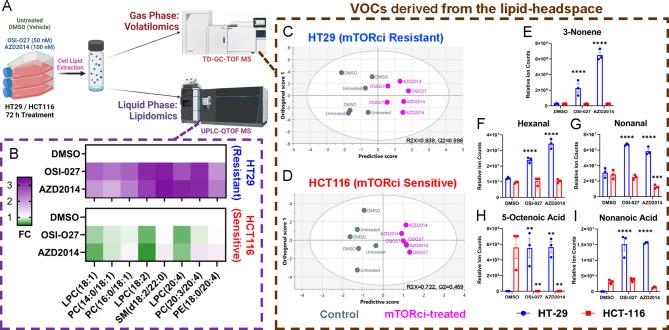 https://cdn.ncbi.nlm.nih.gov/pmc/blobs/9b56/12134227/28792a725667/41598_2025_4886_Fig2_HTML.jpg