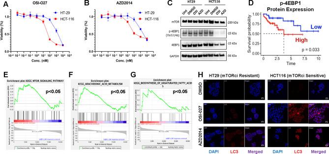 https://cdn.ncbi.nlm.nih.gov/pmc/blobs/9b56/12134227/52bdcadda493/41598_2025_4886_Fig1_HTML.jpg
