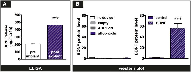 https://cdn.ncbi.nlm.nih.gov/pmc/blobs/9b57/5948312/3ff23b45bcb7/gr4.jpg
