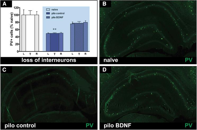 https://cdn.ncbi.nlm.nih.gov/pmc/blobs/9b57/5948312/f100a7a6197e/gr9.jpg