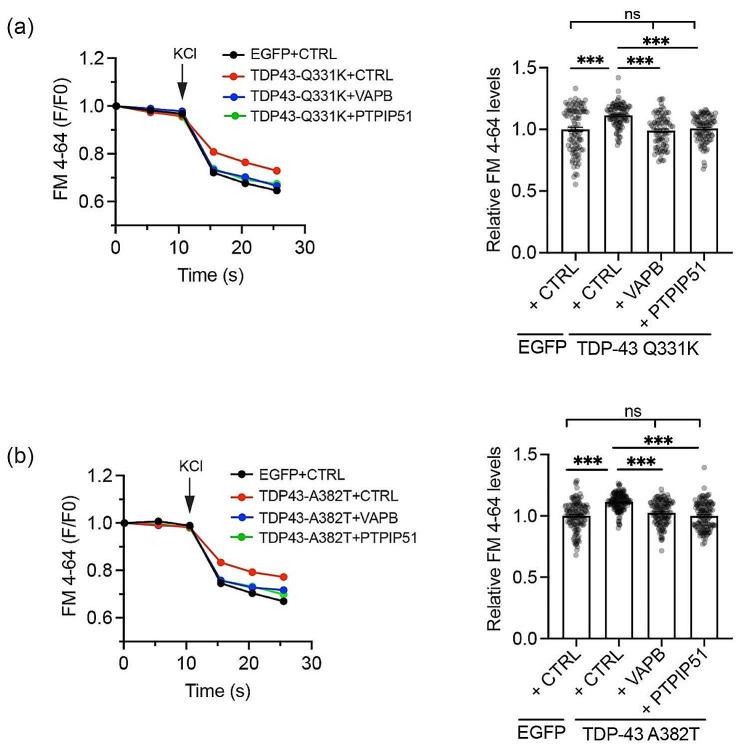https://cdn.ncbi.nlm.nih.gov/pmc/blobs/9b59/10885568/595f3b6af1f3/40478_2024_1742_Fig3_HTML.jpg