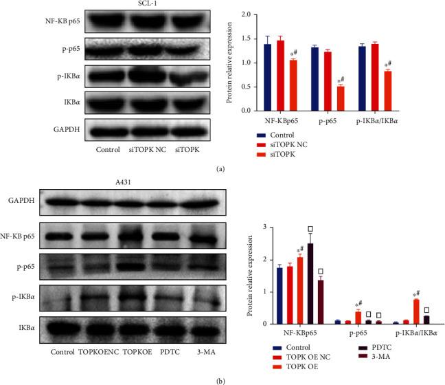 https://cdn.ncbi.nlm.nih.gov/pmc/blobs/9b5d/9217538/245318f54c1e/DM2022-3771711.006.jpg