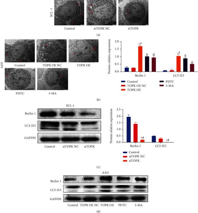 https://cdn.ncbi.nlm.nih.gov/pmc/blobs/9b5d/9217538/5deb4a7348e6/DM2022-3771711.008.jpg