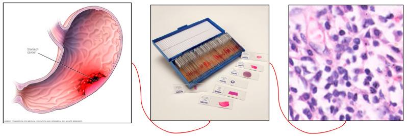 https://cdn.ncbi.nlm.nih.gov/pmc/blobs/9b5e/11354078/7c6917be0cd4/diagnostics-14-01746-g001.jpg