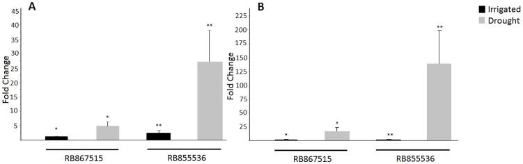 https://cdn.ncbi.nlm.nih.gov/pmc/blobs/9b5f/3469577/4f20f517088d/pone.0046703.g001.jpg