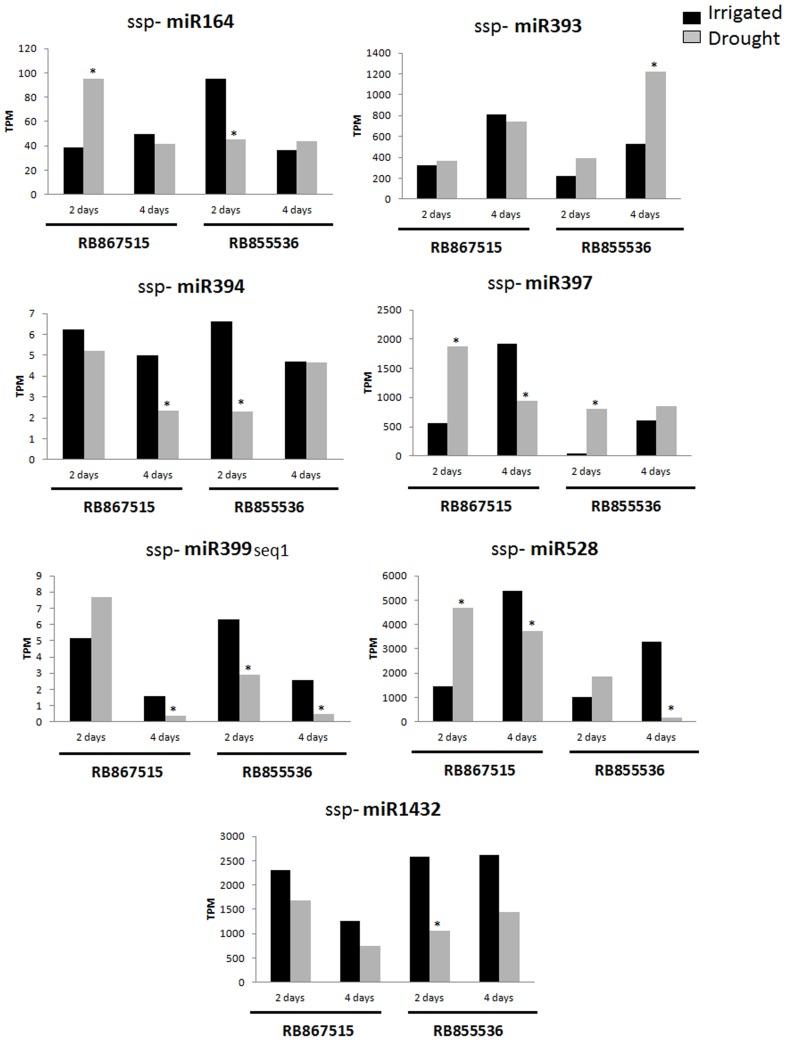 https://cdn.ncbi.nlm.nih.gov/pmc/blobs/9b5f/3469577/996ea09c302f/pone.0046703.g006.jpg