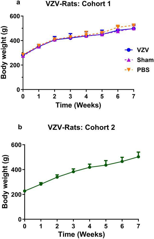 https://cdn.ncbi.nlm.nih.gov/pmc/blobs/9b60/11913958/80833f3cb9ac/10787_2025_1650_Fig3_HTML.jpg