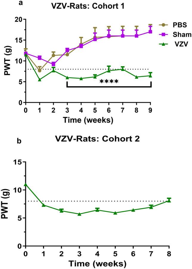 https://cdn.ncbi.nlm.nih.gov/pmc/blobs/9b60/11913958/b35a80e4a0ab/10787_2025_1650_Fig4_HTML.jpg