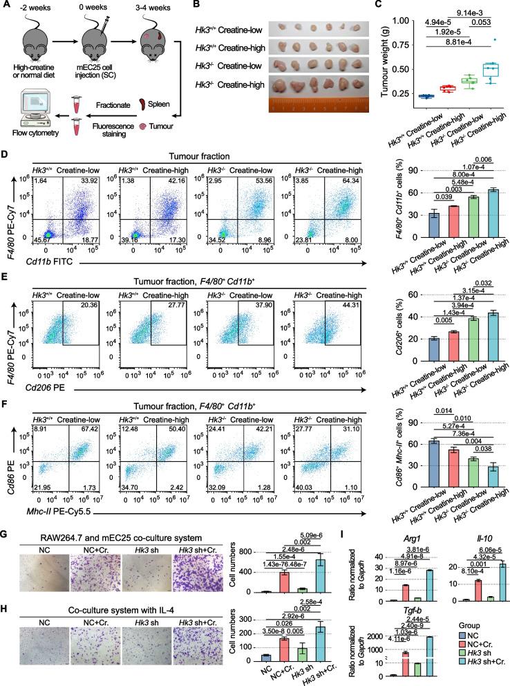https://cdn.ncbi.nlm.nih.gov/pmc/blobs/9b60/12057037/a305f904abef/13073_2025_1465_Fig7_HTML.jpg