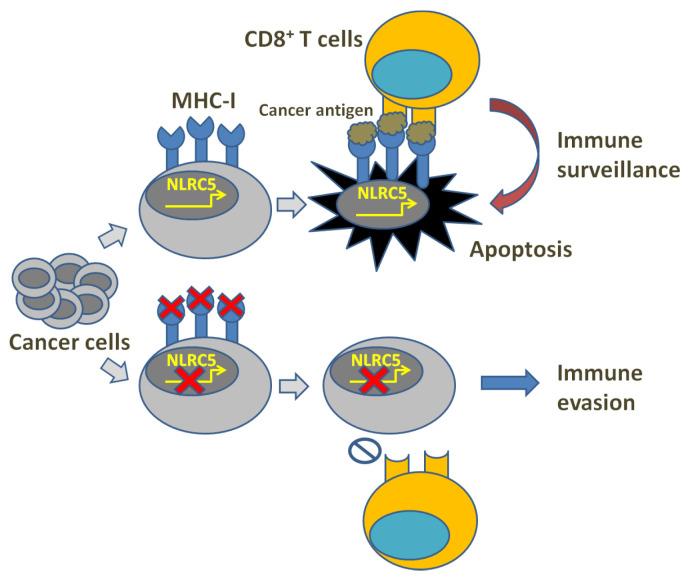 https://cdn.ncbi.nlm.nih.gov/pmc/blobs/9b62/10378520/efeaf3d0ffd6/cells-12-01882-g001.jpg