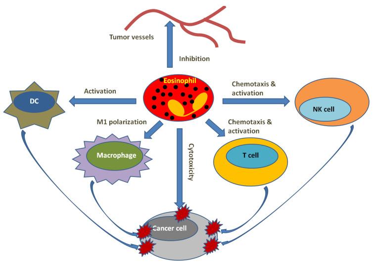 https://cdn.ncbi.nlm.nih.gov/pmc/blobs/9b62/10378520/f0ab2c4547dd/cells-12-01882-g005.jpg