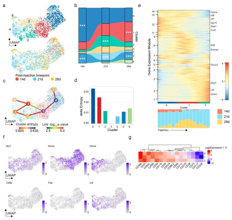 https://cdn.ncbi.nlm.nih.gov/pmc/blobs/9b62/9563981/c3860f897dbc/cancers-14-04915-g003.jpg