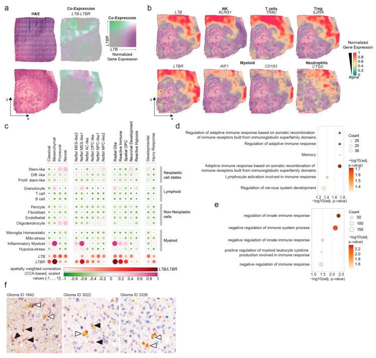 https://cdn.ncbi.nlm.nih.gov/pmc/blobs/9b62/9563981/f0a96c5f4fa3/cancers-14-04915-g005.jpg