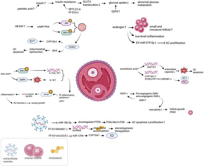 https://cdn.ncbi.nlm.nih.gov/pmc/blobs/9b63/11590415/cdc8c93d824c/13048_2024_1551_Fig1_HTML.jpg