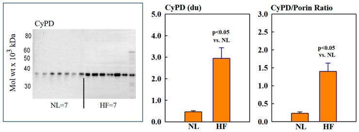 https://cdn.ncbi.nlm.nih.gov/pmc/blobs/9b64/12028004/12526738c3eb/ijms-26-03856-g004.jpg