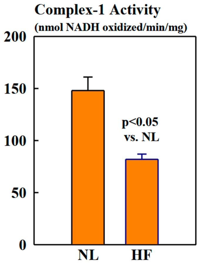 https://cdn.ncbi.nlm.nih.gov/pmc/blobs/9b64/12028004/45ec96fa4c2d/ijms-26-03856-g005.jpg