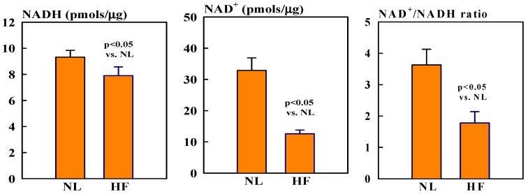 https://cdn.ncbi.nlm.nih.gov/pmc/blobs/9b64/12028004/a55e6cde5a22/ijms-26-03856-g001.jpg