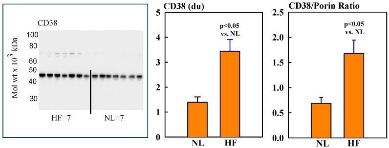 https://cdn.ncbi.nlm.nih.gov/pmc/blobs/9b64/12028004/d2d9579cfd23/ijms-26-03856-g003.jpg