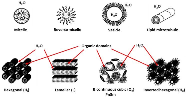 https://cdn.ncbi.nlm.nih.gov/pmc/blobs/9b65/5618122/24a1435e81d1/membranes-07-00037-g003.jpg