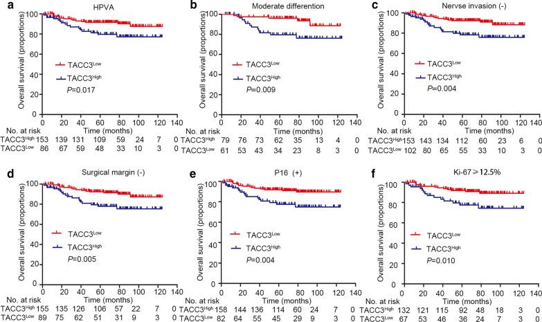 https://cdn.ncbi.nlm.nih.gov/pmc/blobs/9b66/8210387/4425a1a6e5e7/10020_2021_298_Fig4_HTML.jpg