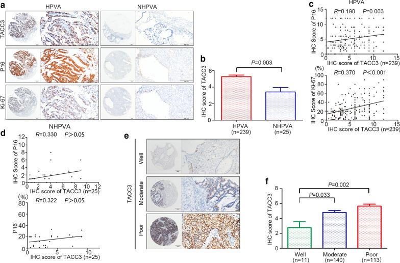 https://cdn.ncbi.nlm.nih.gov/pmc/blobs/9b66/8210387/f0bf47eb9b18/10020_2021_298_Fig2_HTML.jpg