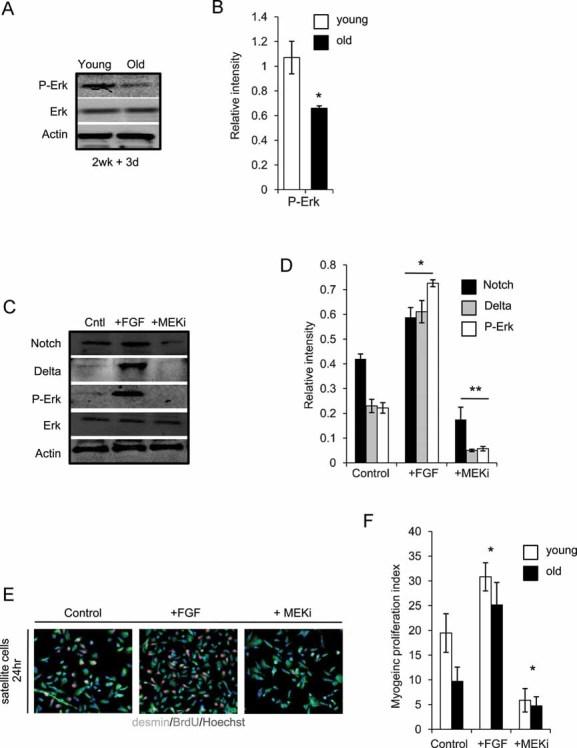 https://cdn.ncbi.nlm.nih.gov/pmc/blobs/9b68/3378152/59bc9278993e/emmm0001-0381-f5.jpg