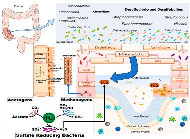 https://cdn.ncbi.nlm.nih.gov/pmc/blobs/9b69/11597776/680d122e5001/pharmaceuticals-17-01480-g002.jpg