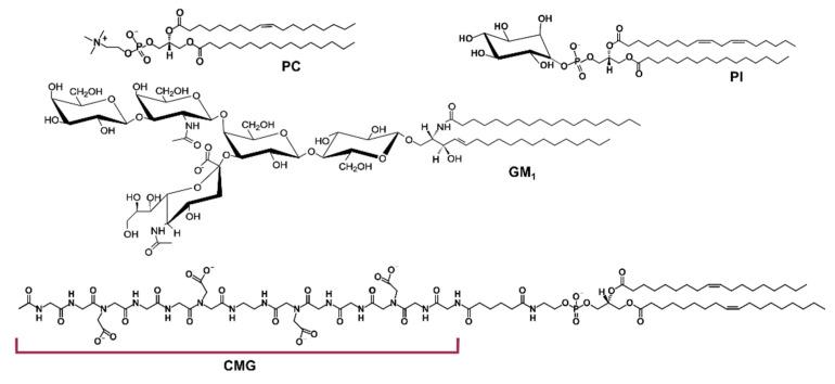 https://cdn.ncbi.nlm.nih.gov/pmc/blobs/9b69/9696317/6b6d926ccff3/membranes-12-01031-g001.jpg