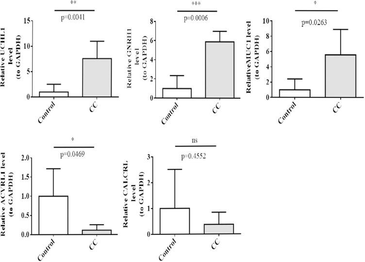 https://cdn.ncbi.nlm.nih.gov/pmc/blobs/9b6a/11910962/764f004de2ee/CMAR-17-557-g0012.jpg