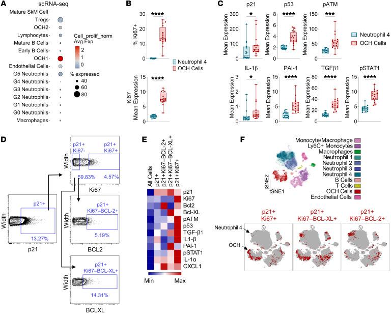 https://cdn.ncbi.nlm.nih.gov/pmc/blobs/9b70/11178538/4832edb77e65/jci-134-179834-g202.jpg