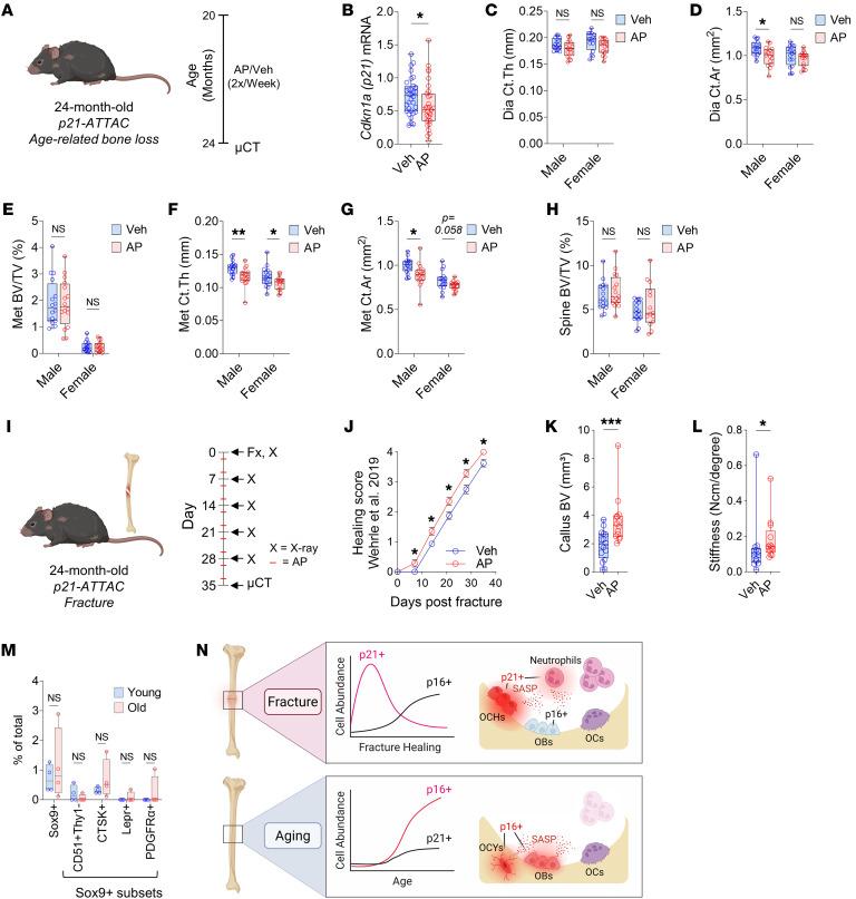 https://cdn.ncbi.nlm.nih.gov/pmc/blobs/9b70/11178538/d2b7004836cb/jci-134-179834-g204.jpg