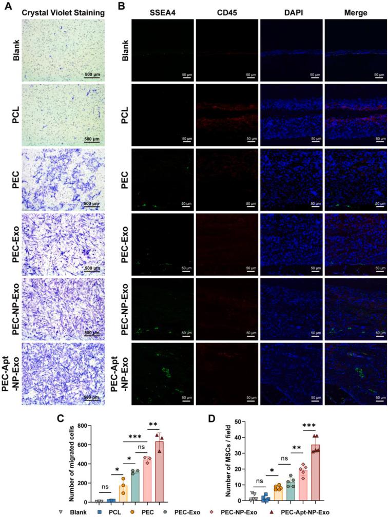 https://cdn.ncbi.nlm.nih.gov/pmc/blobs/9b71/12002949/8eea11540187/gr4.jpg