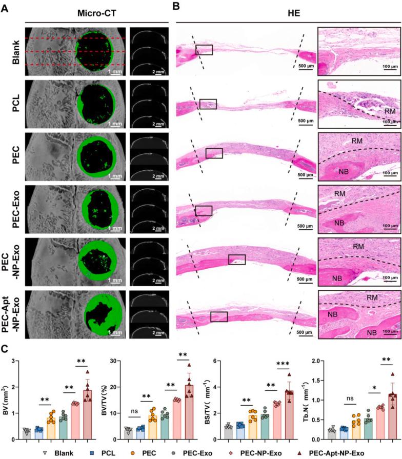 https://cdn.ncbi.nlm.nih.gov/pmc/blobs/9b71/12002949/90861f3bbf17/gr7.jpg