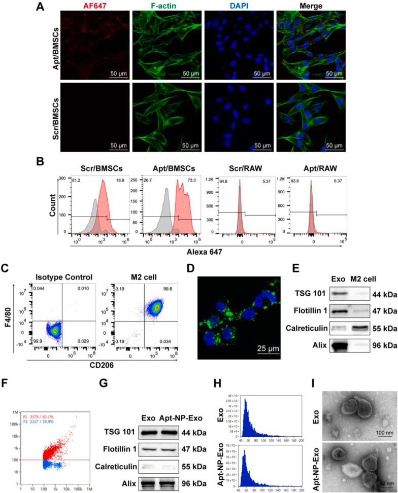 https://cdn.ncbi.nlm.nih.gov/pmc/blobs/9b71/12002949/adf39f0bf1ea/gr1.jpg