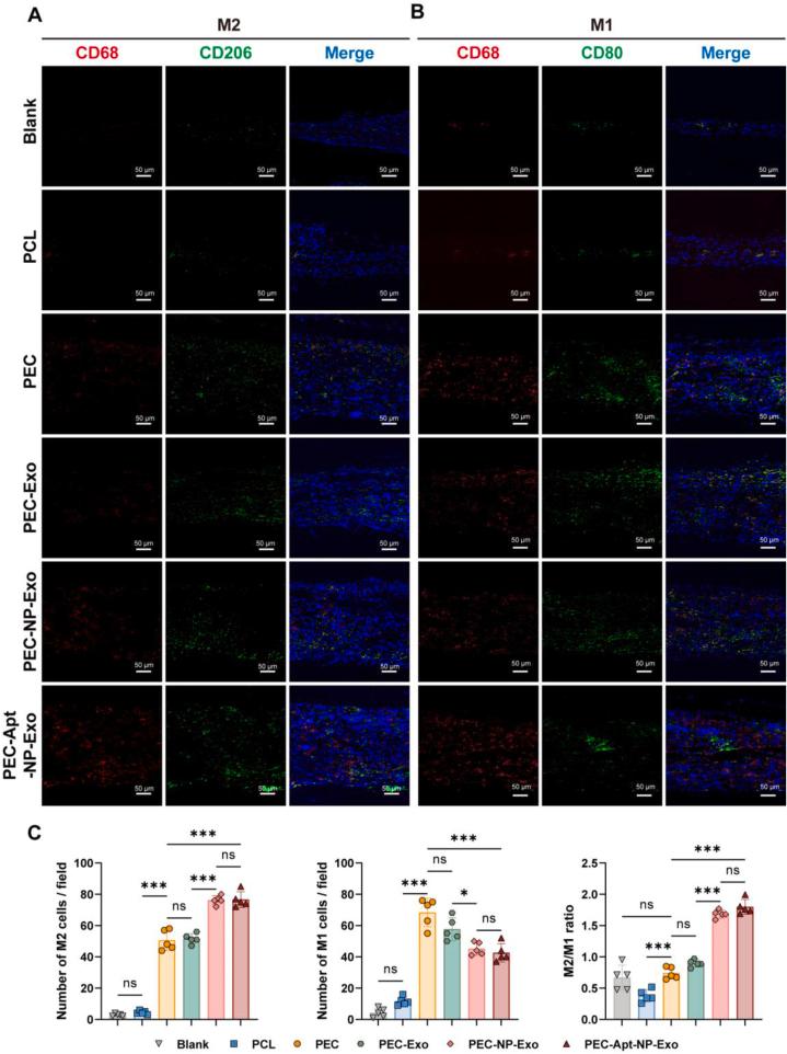 https://cdn.ncbi.nlm.nih.gov/pmc/blobs/9b71/12002949/ebd533ddc9cc/gr5.jpg