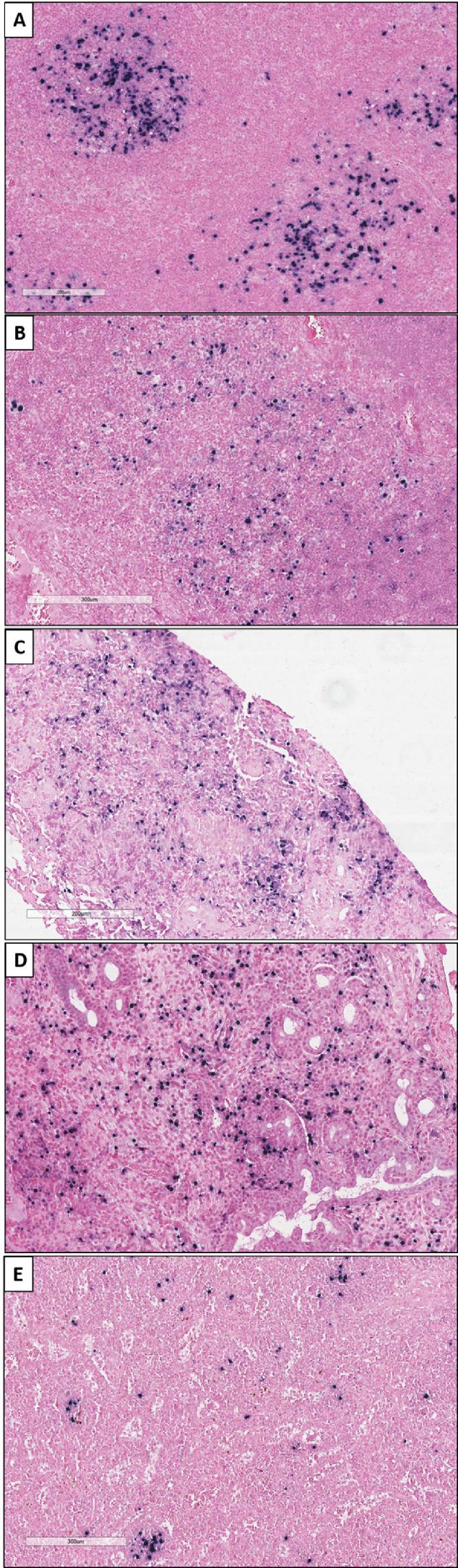 https://cdn.ncbi.nlm.nih.gov/pmc/blobs/9b71/9531037/9fe4b371dec5/gr2.jpg