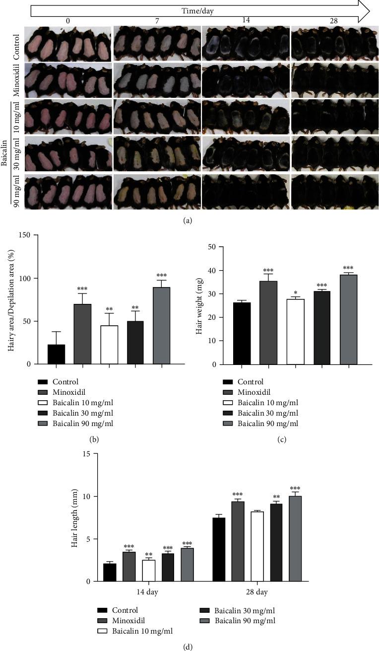 https://cdn.ncbi.nlm.nih.gov/pmc/blobs/9b71/9699788/26e48f3012d2/BMRI2022-3139123.004.jpg