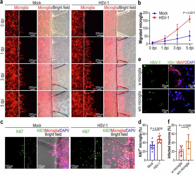 https://cdn.ncbi.nlm.nih.gov/pmc/blobs/9b73/12008363/1cbb7046b017/41467_2025_59042_Fig3_HTML.jpg