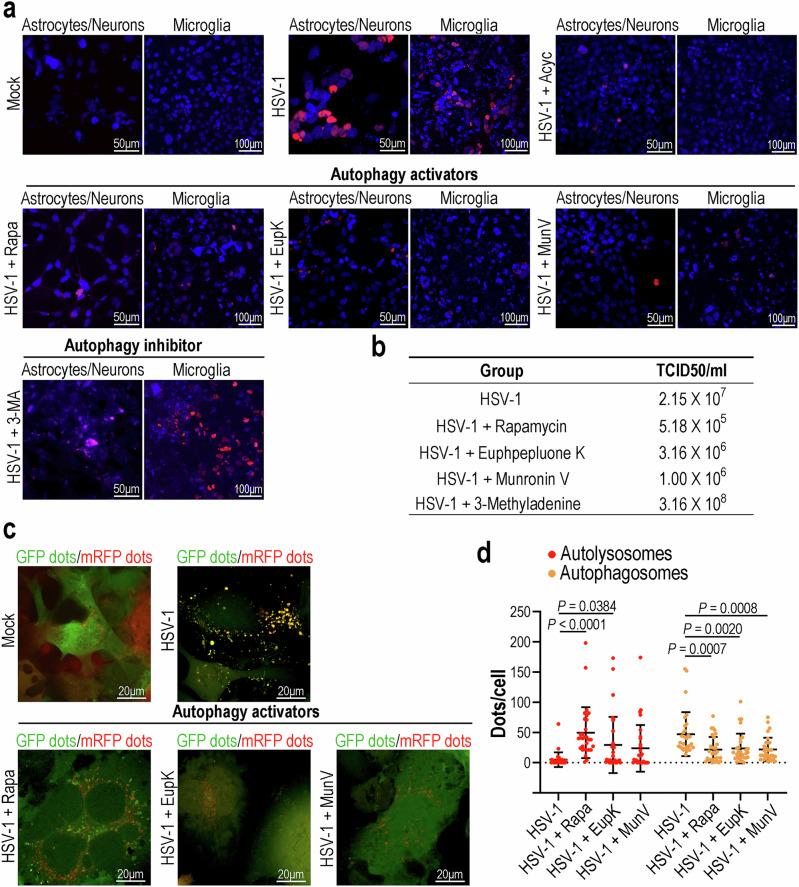 https://cdn.ncbi.nlm.nih.gov/pmc/blobs/9b73/12008363/31255b9d06be/41467_2025_59042_Fig7_HTML.jpg