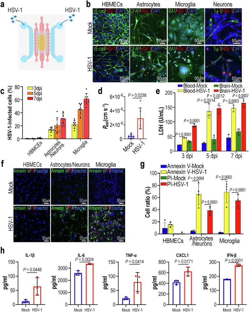 https://cdn.ncbi.nlm.nih.gov/pmc/blobs/9b73/12008363/62db9ede907e/41467_2025_59042_Fig2_HTML.jpg