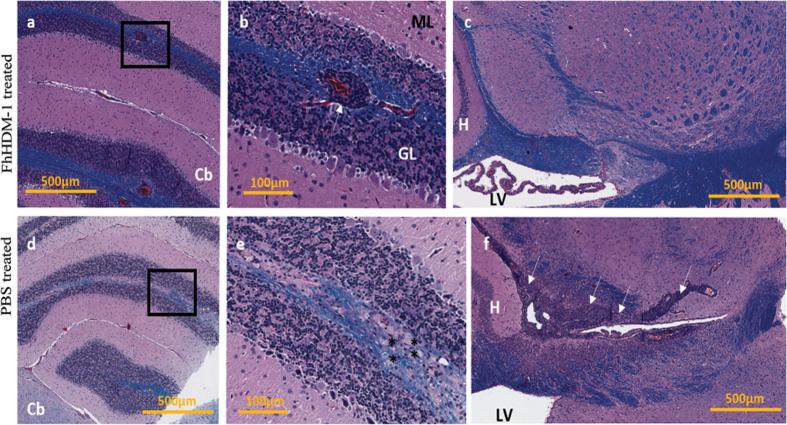 https://cdn.ncbi.nlm.nih.gov/pmc/blobs/9b73/5121616/8d98878ac6c6/srep37789-f3.jpg
