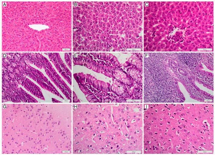 https://cdn.ncbi.nlm.nih.gov/pmc/blobs/9b73/9655879/01ca2f98d8a9/polymers-14-04582-g007.jpg