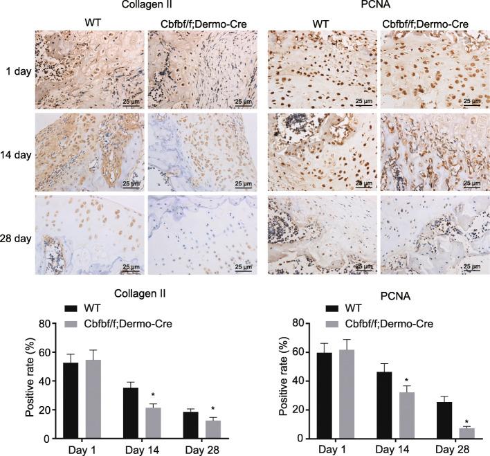 https://cdn.ncbi.nlm.nih.gov/pmc/blobs/9b76/8120848/1204c7c33d2f/13018_2021_2410_Fig3_HTML.jpg