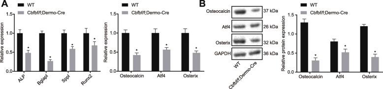 https://cdn.ncbi.nlm.nih.gov/pmc/blobs/9b76/8120848/dbcc8292eb05/13018_2021_2410_Fig6_HTML.jpg
