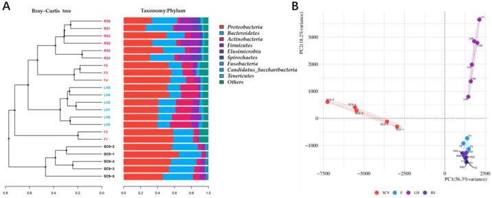 https://cdn.ncbi.nlm.nih.gov/pmc/blobs/9b77/8880812/2f0e6959f278/microorganisms-10-00311-g001.jpg