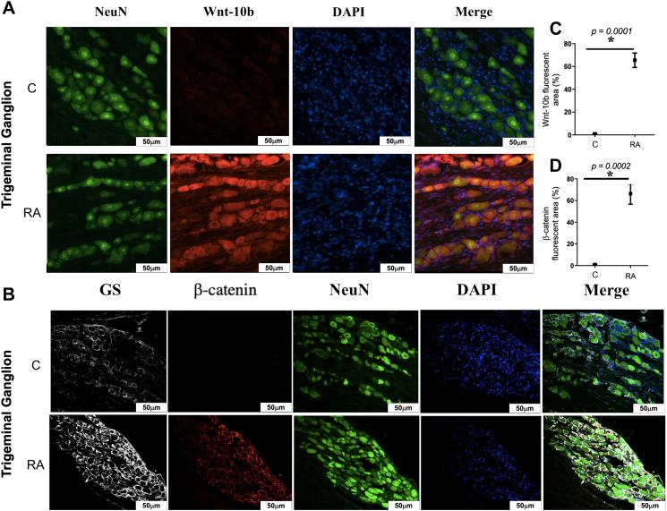 https://cdn.ncbi.nlm.nih.gov/pmc/blobs/9b79/9869417/4ef277aa6342/gr5.jpg