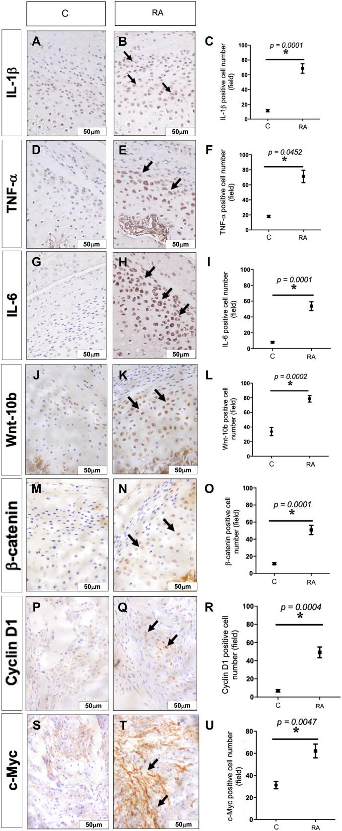 https://cdn.ncbi.nlm.nih.gov/pmc/blobs/9b79/9869417/c48828d7d95d/gr3.jpg
