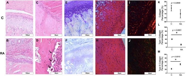 https://cdn.ncbi.nlm.nih.gov/pmc/blobs/9b79/9869417/cd2c62abbe21/gr2.jpg