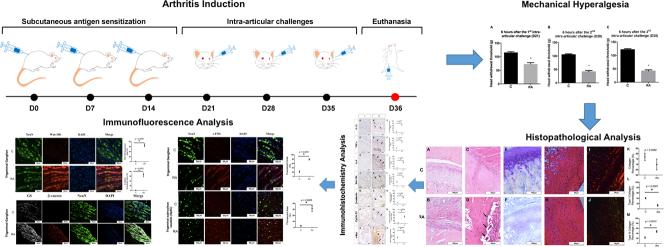 https://cdn.ncbi.nlm.nih.gov/pmc/blobs/9b79/9869417/f89ae7ed25ea/ga1.jpg