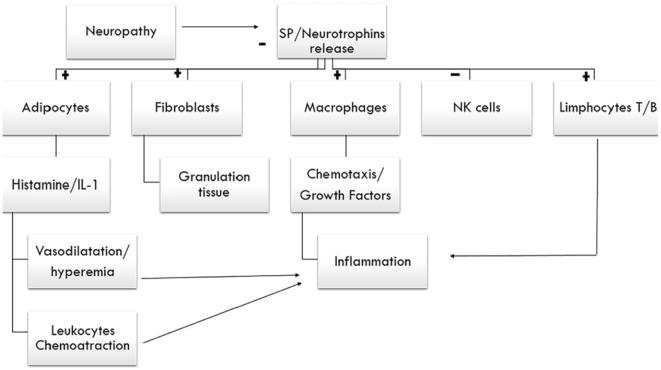 https://cdn.ncbi.nlm.nih.gov/pmc/blobs/9b7a/5933591/3e6eacb9d863/10.1177_1753944717745494-fig8.jpg
